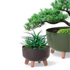 Prosperplast Macetero Ocrlección GRACIA 23,5 X23,5 X18,7 Cm 5,1 L -Jardines Y Exteriores 0bccad1927c64309