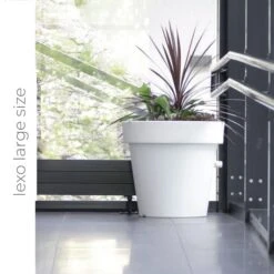 Jardines Y Exteriores -Jardines Y Exteriores 2ebe8f2b4c5271f4