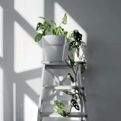 Prosperplast Maceta FURU 178x178x180 Gris Claro -Jardines Y Exteriores 37e1d8d13d463c6a