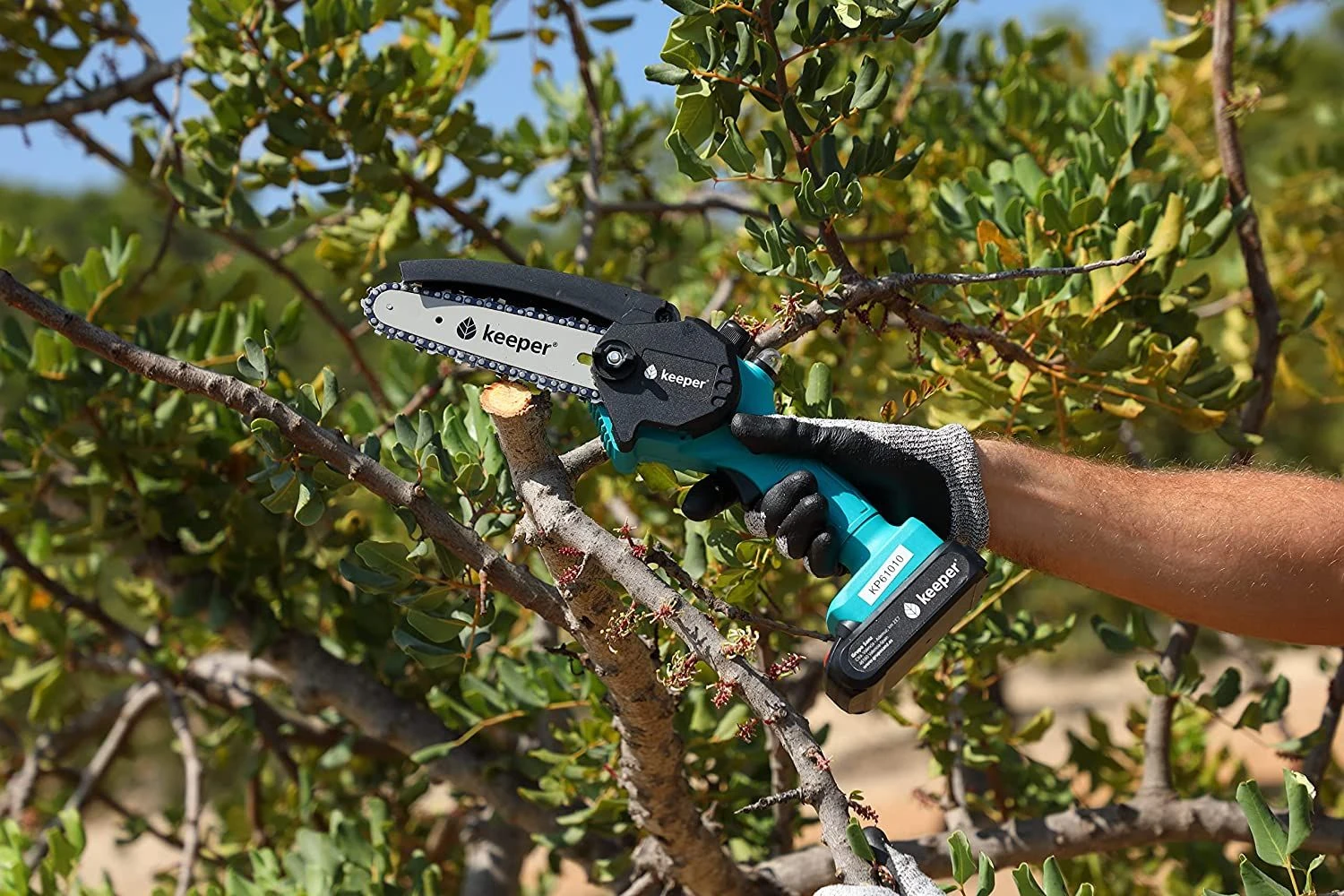 Keeper Sierra Eléctrica De Poda KP6 21V, 6 Pulgadas, 300W,inalámbrica. 4 Keeper Sierra Eléctrica De Poda KP6 21V, 6 Pulgadas, 300W,inalámbrica. - Imagen 4