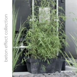 Jardines Y Exteriores -Jardines Y Exteriores 63853117520335.30392364