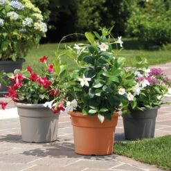 Maceta Cilíndrica Ø Cm 40 7 Maceta Cilíndrica Ø Cm 40 -Jardines Y Exteriores 6385346b936950.28826800