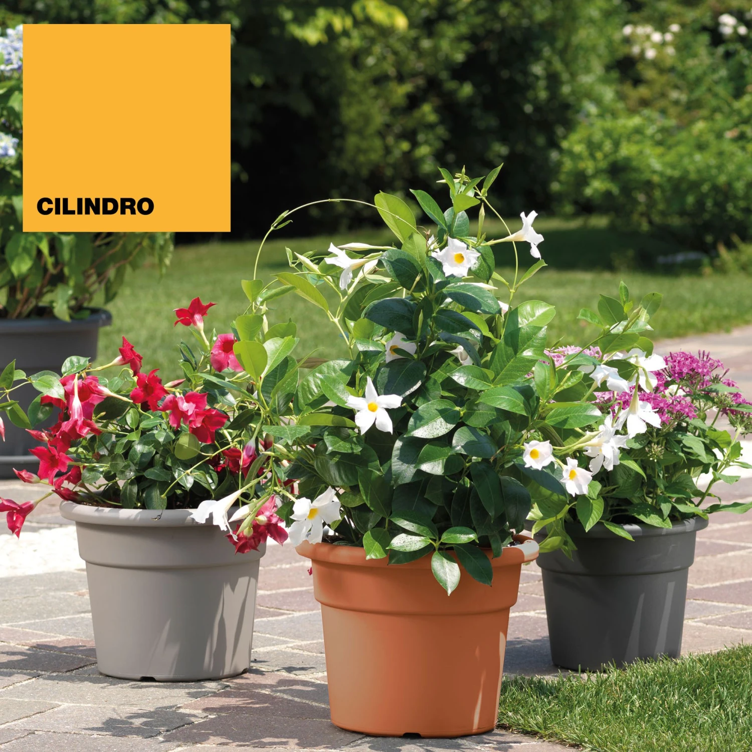 Maceta Cilíndrica Ø Cm 40 2 Maceta Cilíndrica Ø Cm 40 - Imagen 2