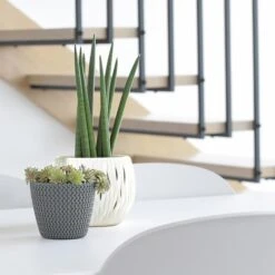 Prosperplast Maceta Redonda 28,2L Maceta Splofy De Plastico Color Menta, Ø39,1 X33 Cm -Jardines Y Exteriores 6385387c745b79.18894117