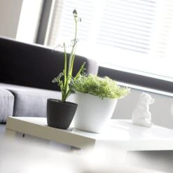 Prosperplast Maceta Redonda 28,2L Maceta Splofy De Plastico Color Menta, Ø39,1 X33 Cm -Jardines Y Exteriores 6385387cb07220.59163725