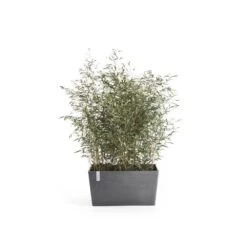 Ecopots Jardinera Paris 100 Gris - 99 X 46 X H. 50 Cm - 170 L -Jardines Y Exteriores 9901982c21bf76ed