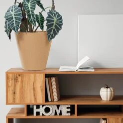 Prosperplast Macetero Redondo 30x30x28cm 12 L -Jardines Y Exteriores cc4345953a3c6c64