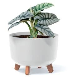 Prosperplast Macetero Vertierra GRACIA 29cm X29cm X22cm Cm 9,8 L -Jardines Y Exteriores e95afdbb1af6e8dc