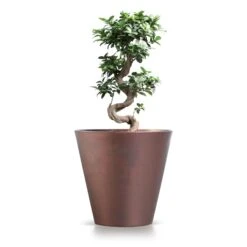 Prosperplast Maceta TUBUS CORTEN 12L 300x300x280 Cobre -Jardines Y Exteriores f1dfc2167a251ca2