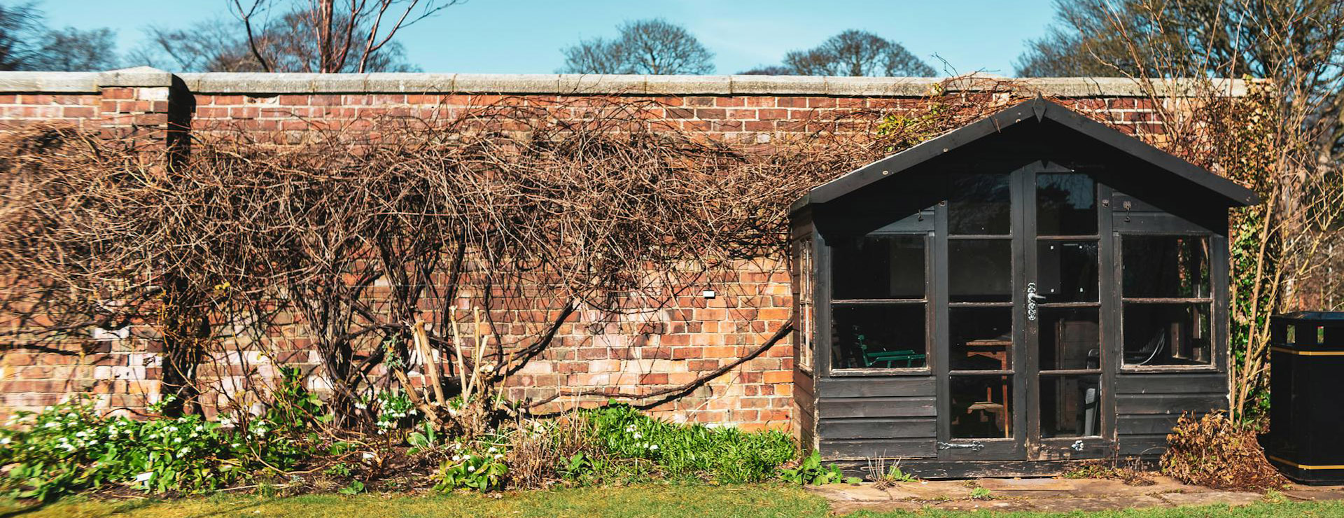 Jardines Y Exteriores 1 Jardines Y Exteriores -Jardines Y Exteriores pexels jillyjillystudio 11530632