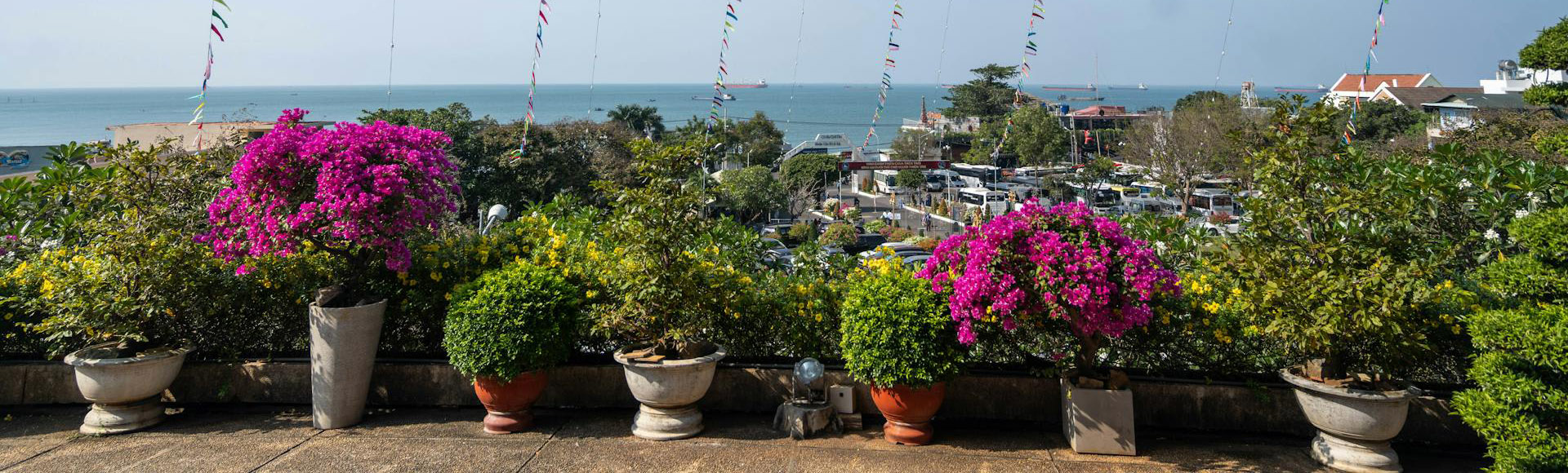 Jardines Y Exteriores 20 Jardines Y Exteriores -Jardines Y Exteriores pexels quang vuong 724225078 35517230